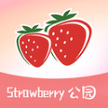 草莓公园精简版