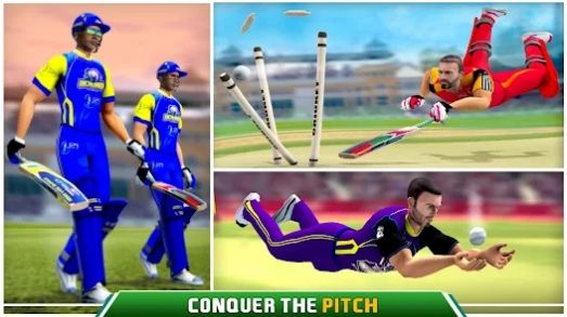 巴基斯坦板球联赛完整版截屏3