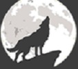 狼群社区www在线资源中文版